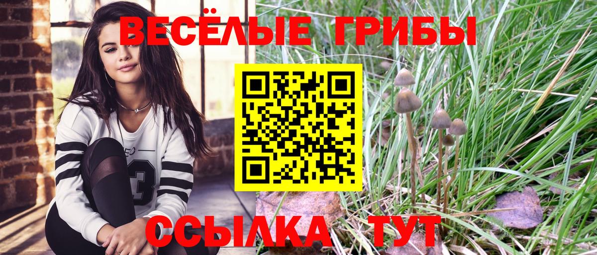 Псилоцибиновые грибы Psilocybine cubensis Владикавказ